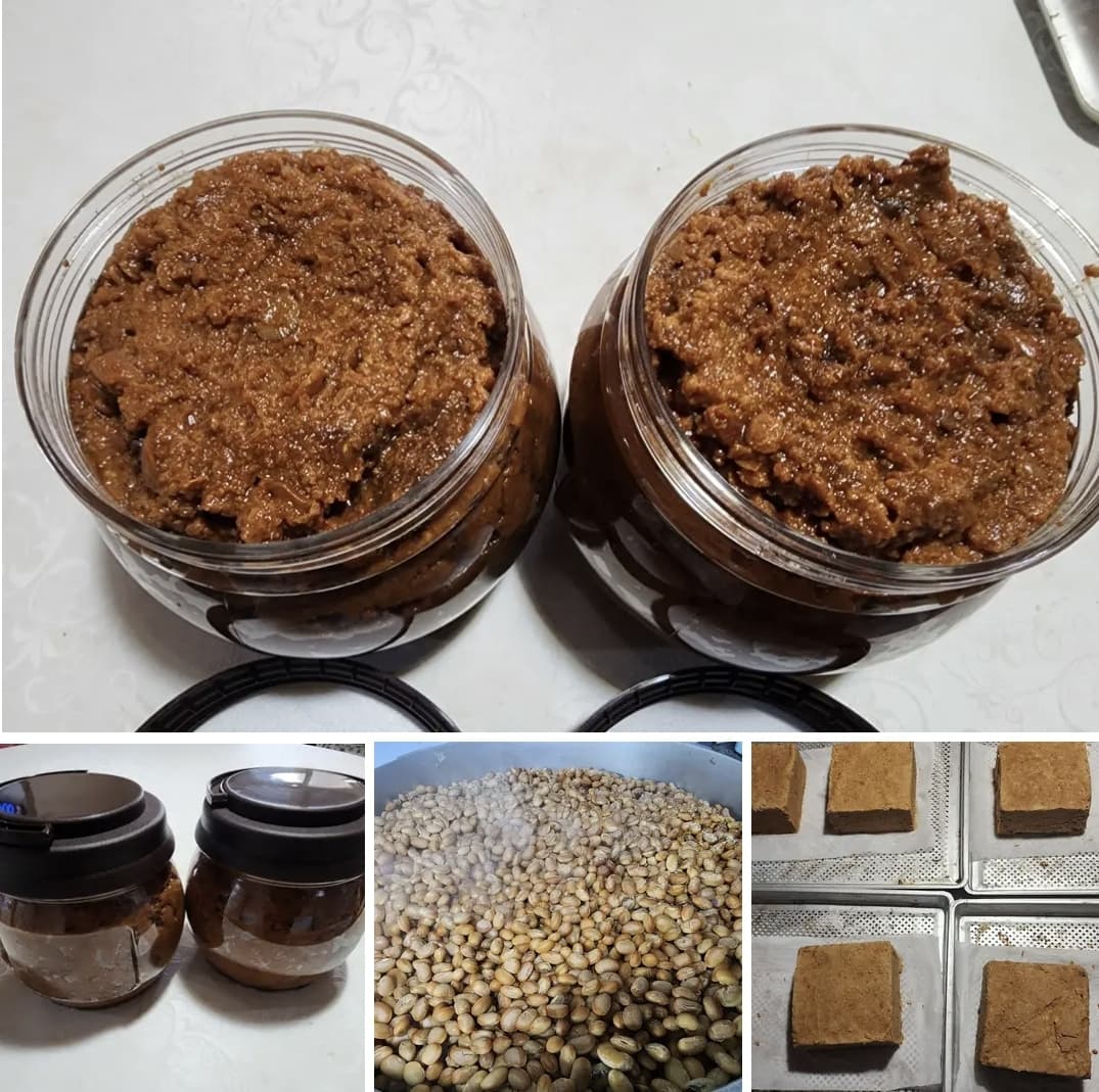 콩과나무로 제품